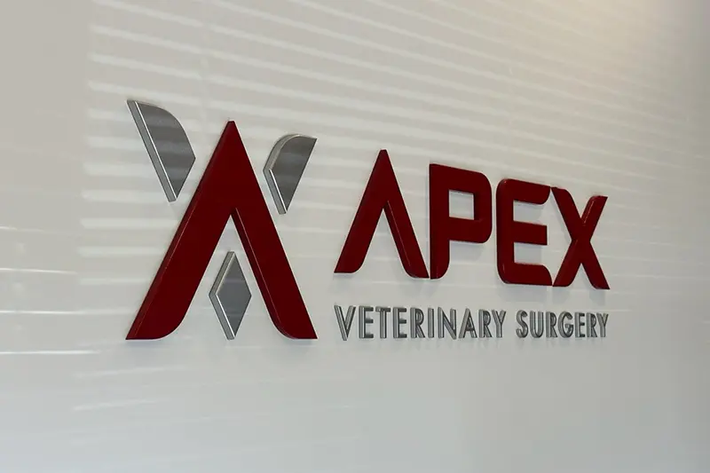 3D Letters2Portfolio